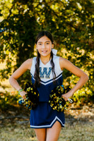 Stinger Cheer